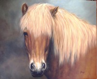 /album/fotogaleria-animales1/a2014-07-08-11-17-18-copia-jpg/